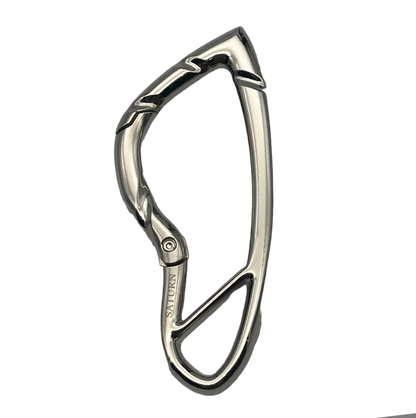 Saturn Carabiner